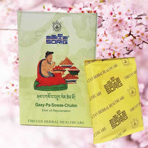 Institut Médecine Tibétaine སྨན་རྩིས་ཁང་ MEN-TSEE-KHANG SORIG 2 Nutritions Sorig Gaay Pa Sowae Chulen 🎁 (disponible vers 14 déc)