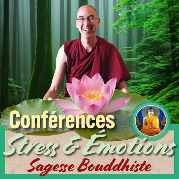 CONFERENCES 4 au 13 Janvier STRESS & EMOTIONS, SAGESSE BOUDDHISTE | Annecy | Lausanne | Besançon | Nancy | Dijon | Troyes | Epinal | Metz | Luxembourg | Paris