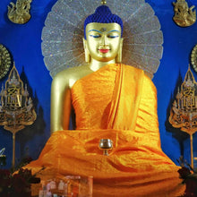Charger l&#39;image dans la galerie, Boutique DHARMA | Petit Nalanda MP4 Download Video Mp4 | Vaincre nos Peurs par la Méditation