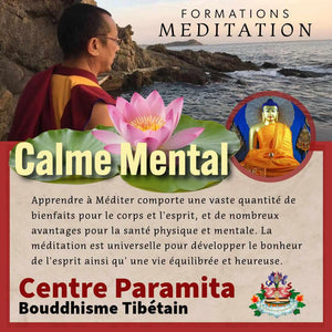 MEDITATION 11-15 Juin | Formation 5 jrs Calme Mental | Enseignant Clément au Petit Nalanda