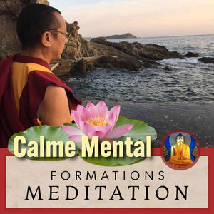 MEDITATION 11-15 Juin | Formation 5 jrs Calme Mental | Enseignant Clément au Petit Nalanda