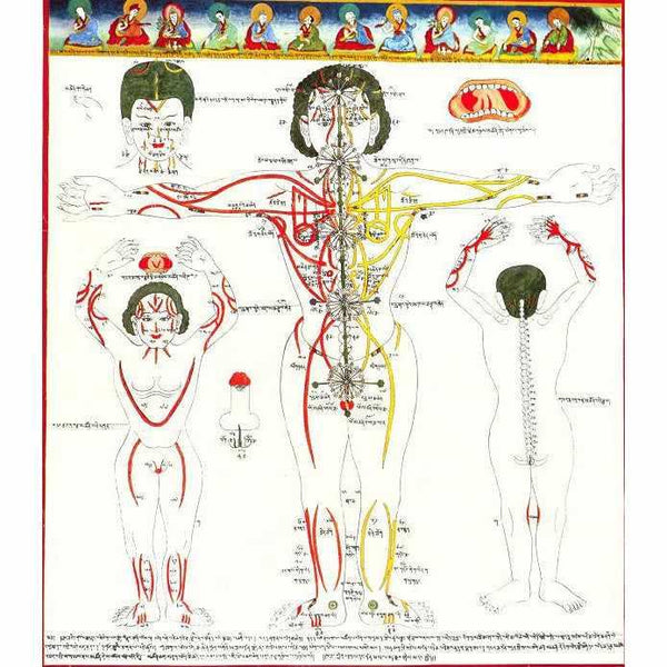 2 Huiles Massage Sorig Juk-Nuum-Tikta-Dhethear