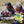 2 Nutritions Sorig Friandises Santé