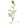 Institut Médecine Tibétaine སྨན་རྩིས་ཁང་ MEN-TSEE-KHANG SORIG 2 Nutritions Sorig Men Chik 🎁