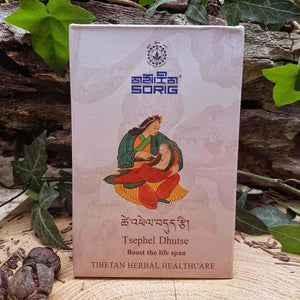 Institut Médecine Tibétaine སྨན་རྩིས་ཁང་ MEN-TSEE-KHANG SORIG 2 Nutritions Sorig Tsephel Dutse 🎁