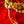 Mala Œil de Tigre Golden