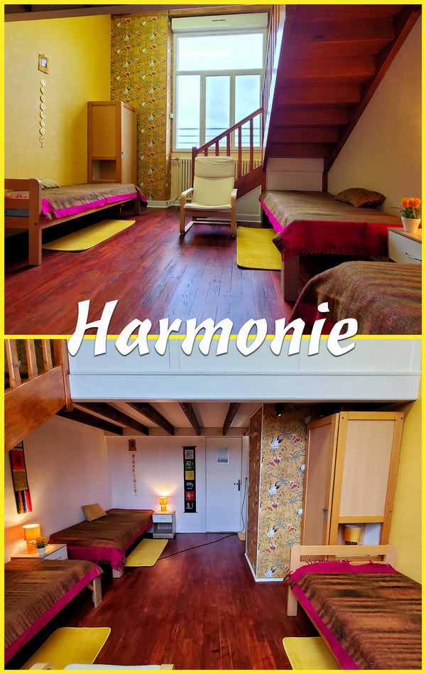 PHILOSOPHIE BOUDDHISTE 3-7 Août Session 4 | Formation 5 jrs Lamrim Approfondissement 2 ans | Enseignant Tenzin Gawa (Jason) au Petit Nalanda