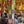 WEEKEND TIBET 5-6 Sept | Moines Ganden Jangtse 2 jrs + 2 Transmissions de Pouvoir au Petit Nalanda