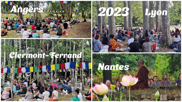 CONFERENCE 21 Juin 20h Zoom | Amour & Attachement : Quelle est la différence ? Tenzin Gawa (Jason)