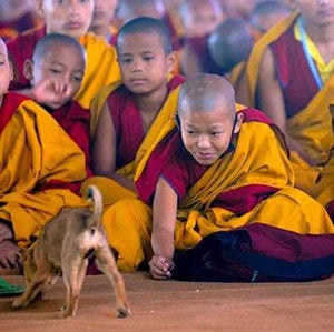 Boutique TIBET | Petit Nalanda BRULEURS Brûleur Encens Cuivre Bol d'Offrandes