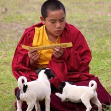 Charger l&#39;image dans la galerie, Boutique TIBET | Petit Nalanda BRULEURS Brûleur Encens Gold Bol d&#39;Offrandes +🎁