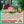 CONFERENCE 6 Déc 20h Zoom | Aimer sans Souffrir | Tenzin Gawa (Jason)