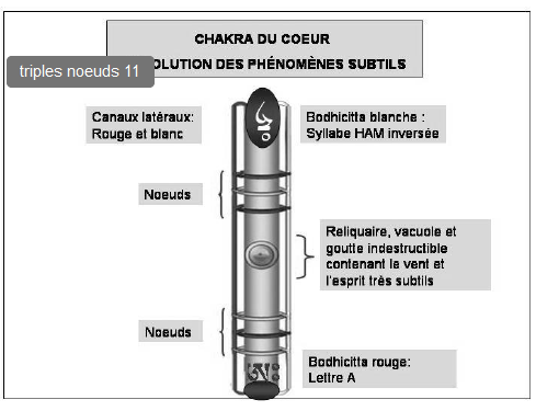 Transcender la Mort