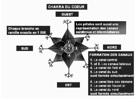 Transcender la Mort