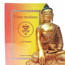 Charger l&#39;image dans la galerie, Boutique DHARMA | Petit Nalanda LIVRE Come Meditare