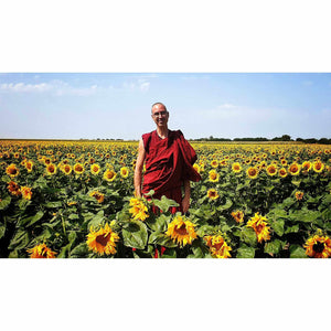 Boutique DHARMA | Petit Nalanda MP4 Download Video Mp4 | Apprendre à Méditer
