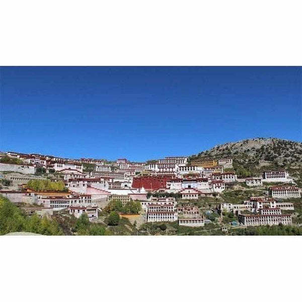 Boutique DHARMA | Petit Nalanda MP4 Download Video Mp4 Gratuit | Célébration Spéciale Lama Tsongkhapa