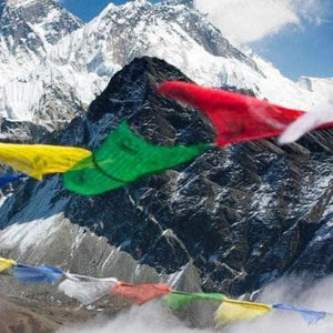 Boutique TIBET | Petit Nalanda DRAPEAUX Drapeaux Prières 5 Rouleaux de 5