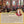 Meditation & Buddhist Philosophy JUNE 08 | Online Study & Practice Program 2 Years | INFORMATION MEETING