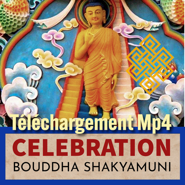 Download Video Mp4 Gratuit | Journée de l'arrivée du Bouddha Shakyamouni