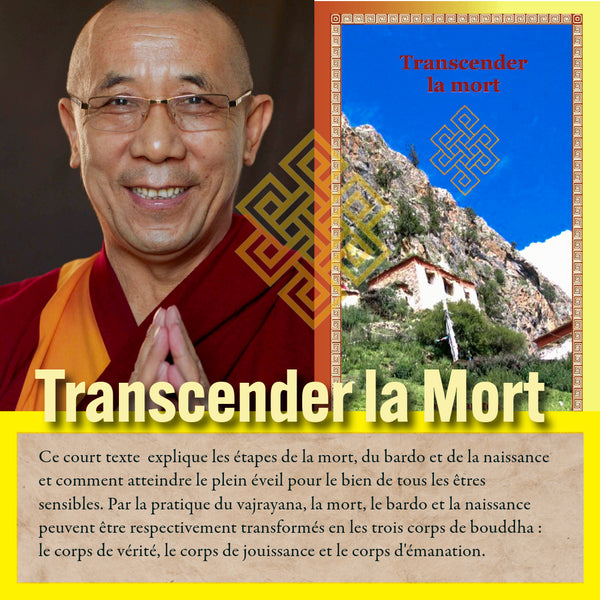 Transcender la Mort