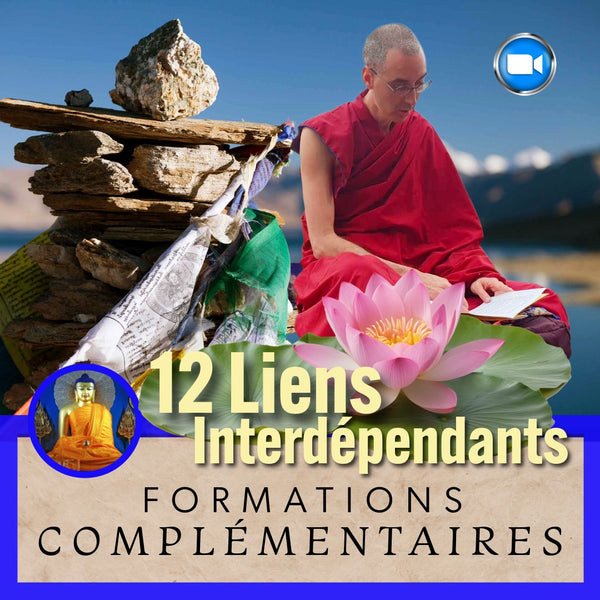 Les 12 LIENS INTERDEPENDANTS 16-17 Mai Zoom | Formation 2 jrs Samsara | Enseignant Tenzin Gawa (Jason) au Petit Nalanda (Copie)