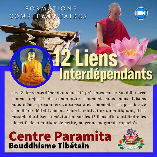 Les 12 LIENS INTERDEPENDANTS 16-17 Mai Zoom | Formation 2 jrs Samsara | Enseignant Tenzin Gawa (Jason) au Petit Nalanda (Copie)