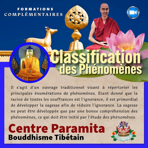 CLASSIFICATION Phénomènes 15 Sept Zoom | Formation 10 Semaines | Enseignant Tenzin Gawa (Jason)