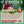 CONFERENCE 21 Juin 20h Zoom | Amour & Attachement : Quelle est la différence ? Tenzin Gawa (Jason)