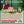CONFERENCE 21 Sept 20h Zoom | Vie du Bouddha & des Grands Maîtres | Tenzin Gawa (Jason)