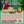 CONFERENCE 31 Oct 20h Zoom | Trouver le Paix Intérieure | Tenzin Gawa (Jason)