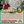 CONFERENCE 7 Mars 20h Zoom | Cultiver la sérénité au quotidien | Tenzin Gawa (Jason)