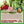 GUERANDE 20 Avril | Formation Méditation & Gestion des Emotions 10 Semaines | Enseignante Delphine