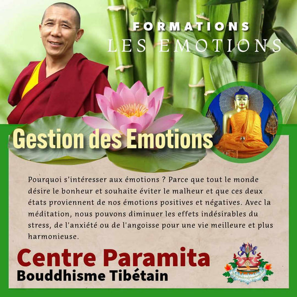 GUERANDE 20 Avril | Formation Méditation & Gestion des Emotions 10 Semaines | Enseignante Delphine