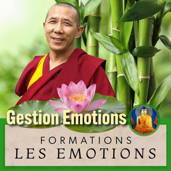GUERANDE 20 Avril | Formation Méditation & Gestion des Emotions 10 Semaines | Enseignante Delphine