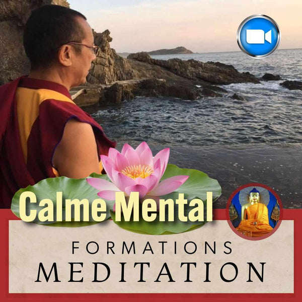 MEDITATION Octobre (Dates à déterminer) | Formations 10 sem Zoom | Enseignant Clément