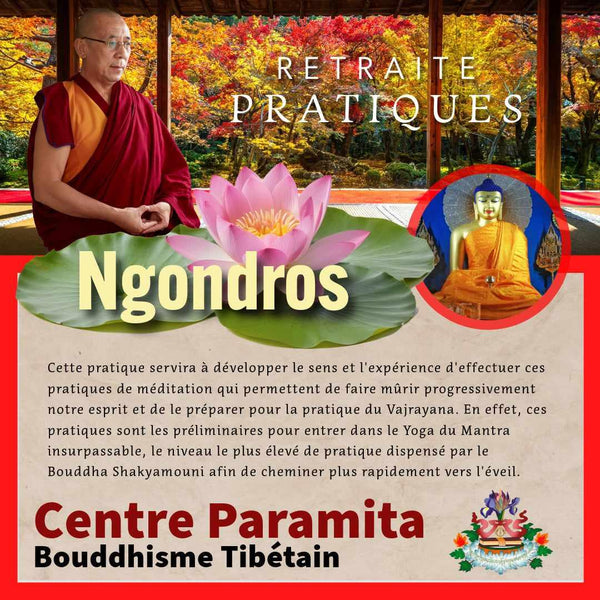 NGONDROS 9-13 Août | Retraite 5 jrs Pratiques | Enseignant Tenzin Gawa (Jason)