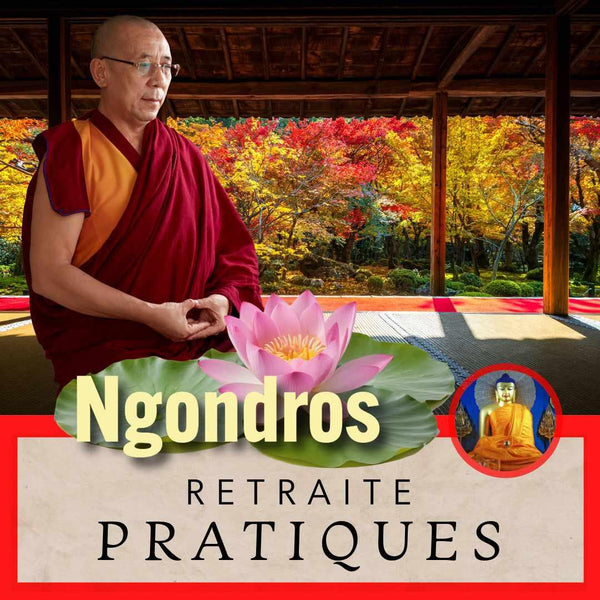 NGONDROS 9-13 Août | Retraite 5 jrs Pratiques | Enseignant Tenzin Gawa (Jason)