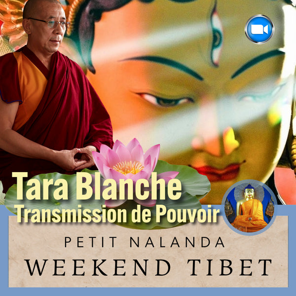 TARA Blanche 6 Sept Zoom | Transmission de Pouvoir | WEEKEND TIBET 6-7 Sept | Lama Samten
