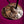 Cymbales Tibétaines Tingsha