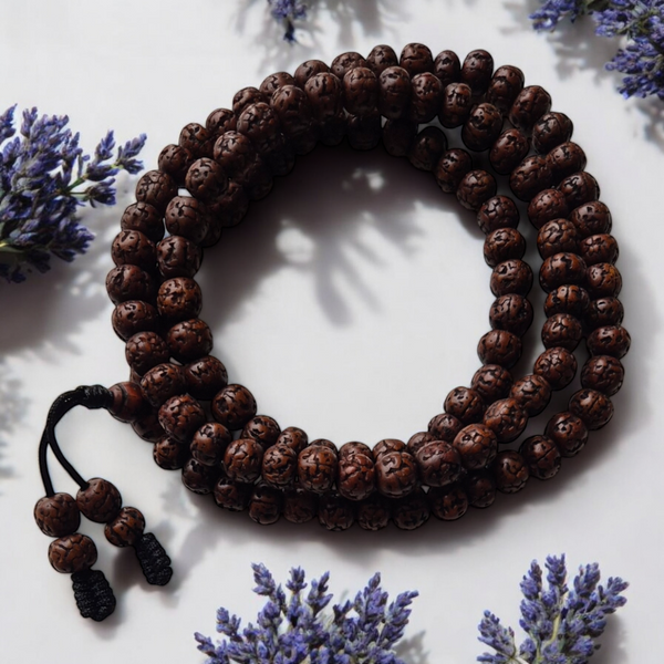 Mala Graines Rudrakshas