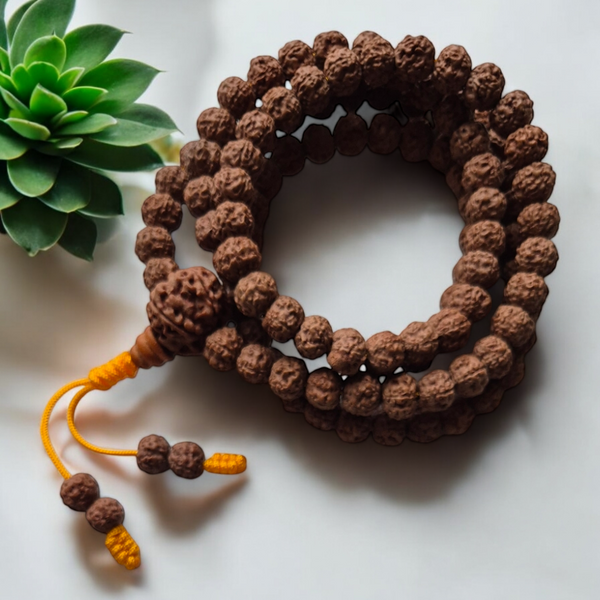Mala Graines Rudrakshas