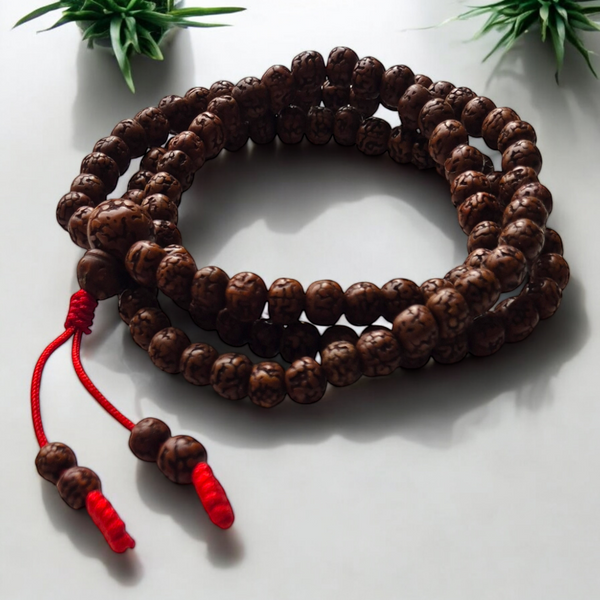 Mala Graines Rudrakshas
