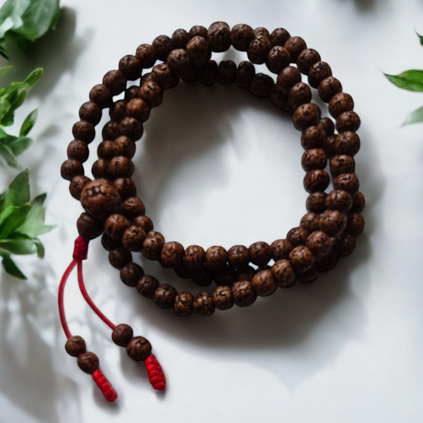 Mala Graines Rudrakshas