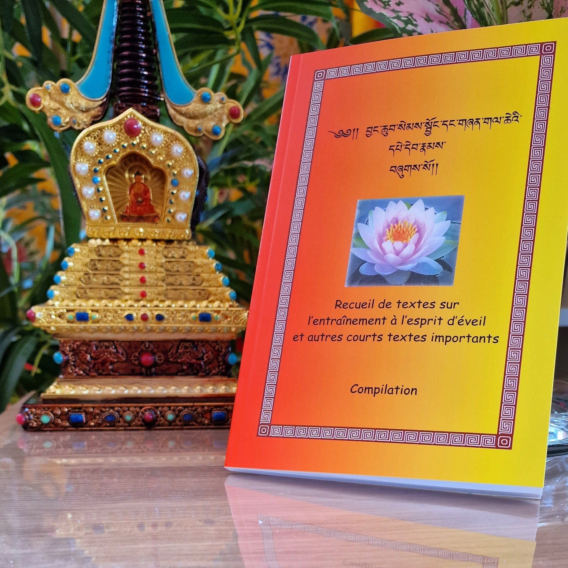 Boutique DHARMA | Petit Nalanda LIVRE Recueil de Textes | L'Esprit d'Eveil | Nouveau