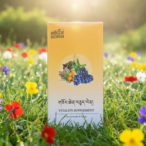 Complément vitalité Sorig pour immunité et énergie, produit naturel de médecine tibétaine, dans un champ fleuri