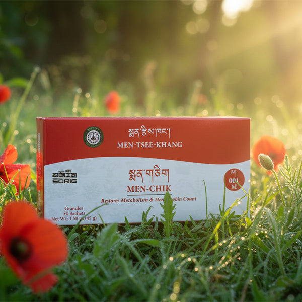 Boîte de granulés Men-Chik de la médecine tibétaine, posée sur l'herbe au soleil, fleurs rouges alentour