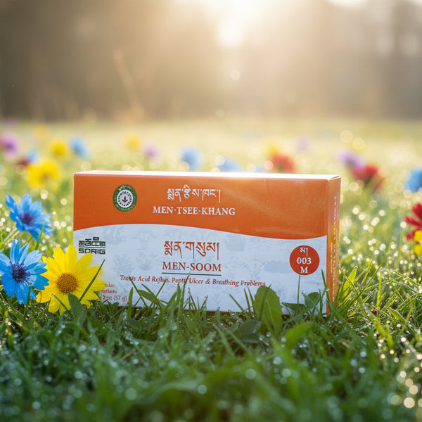 Boîte de MEN-TSEE-KHANG pour troubles digestifs et respiratoires, entourée de fleurs dans l'herbe