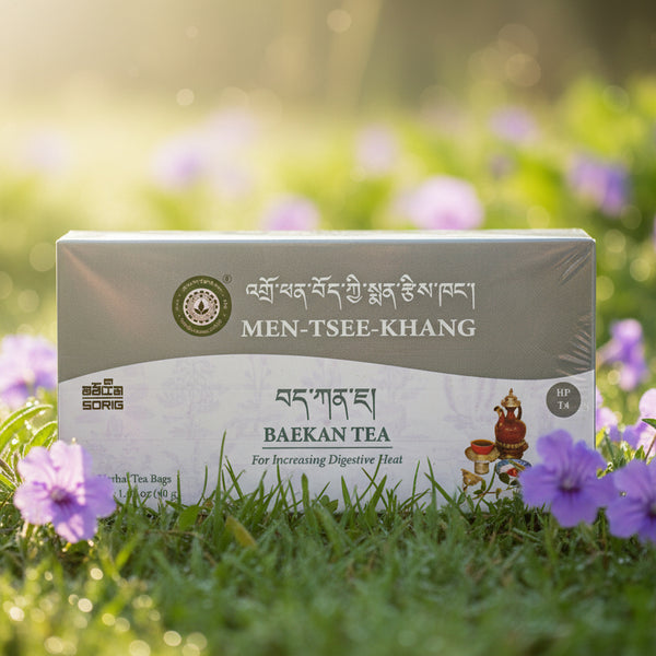 Thé Baekan Men-Tsee-Khang pour la chaleur digestive, produit de médecine tibétaine naturelle