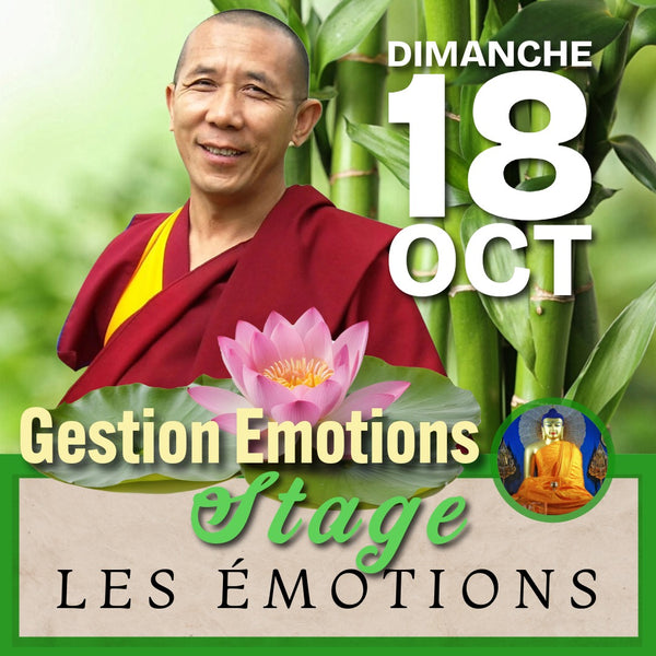 MEDITATION & EMOTIONS 17-18 Oct | Stages du Weekend | Enseignant Clément au Petit Nalanda